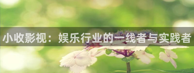 星辰影院在线观看免费版电视剧